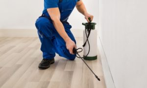 Pest Control