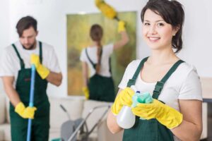 house cleaning expert