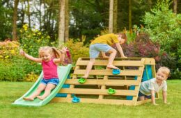 Toddler climbing frame
